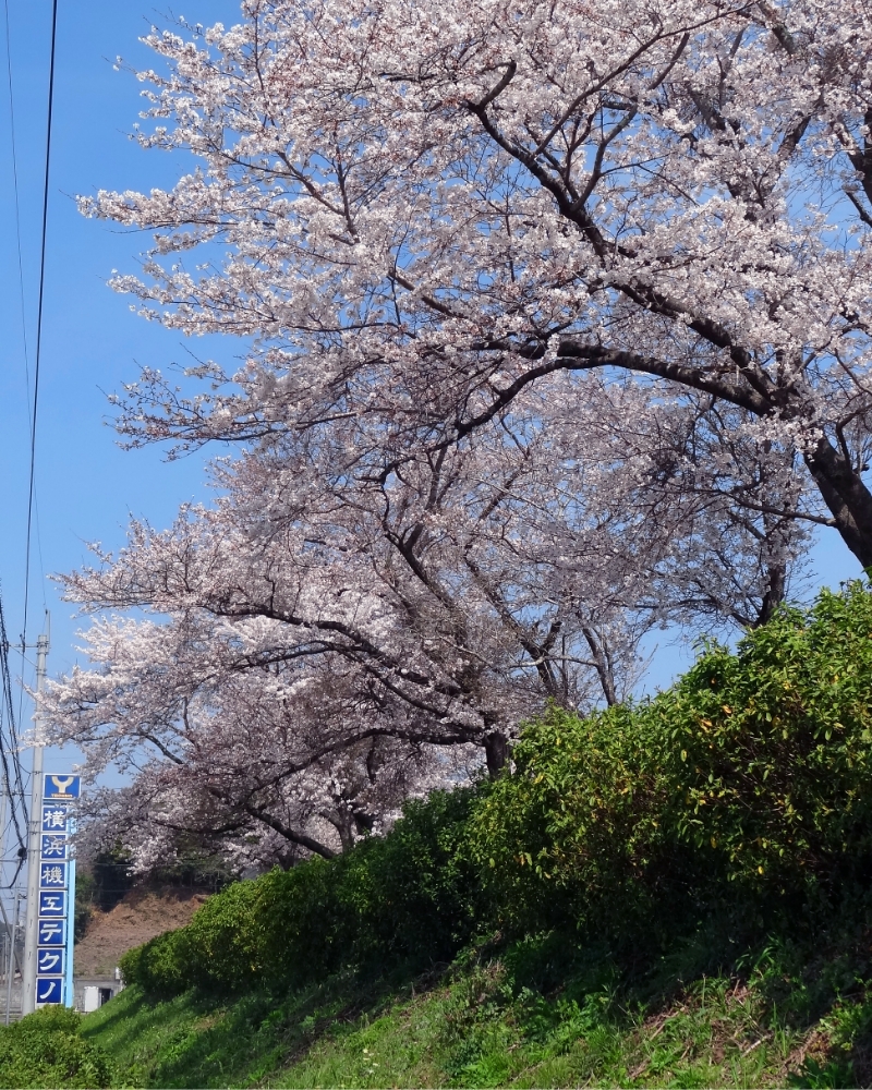 自動車部品の製造において品質と効率を追求するモノづくり企業です。